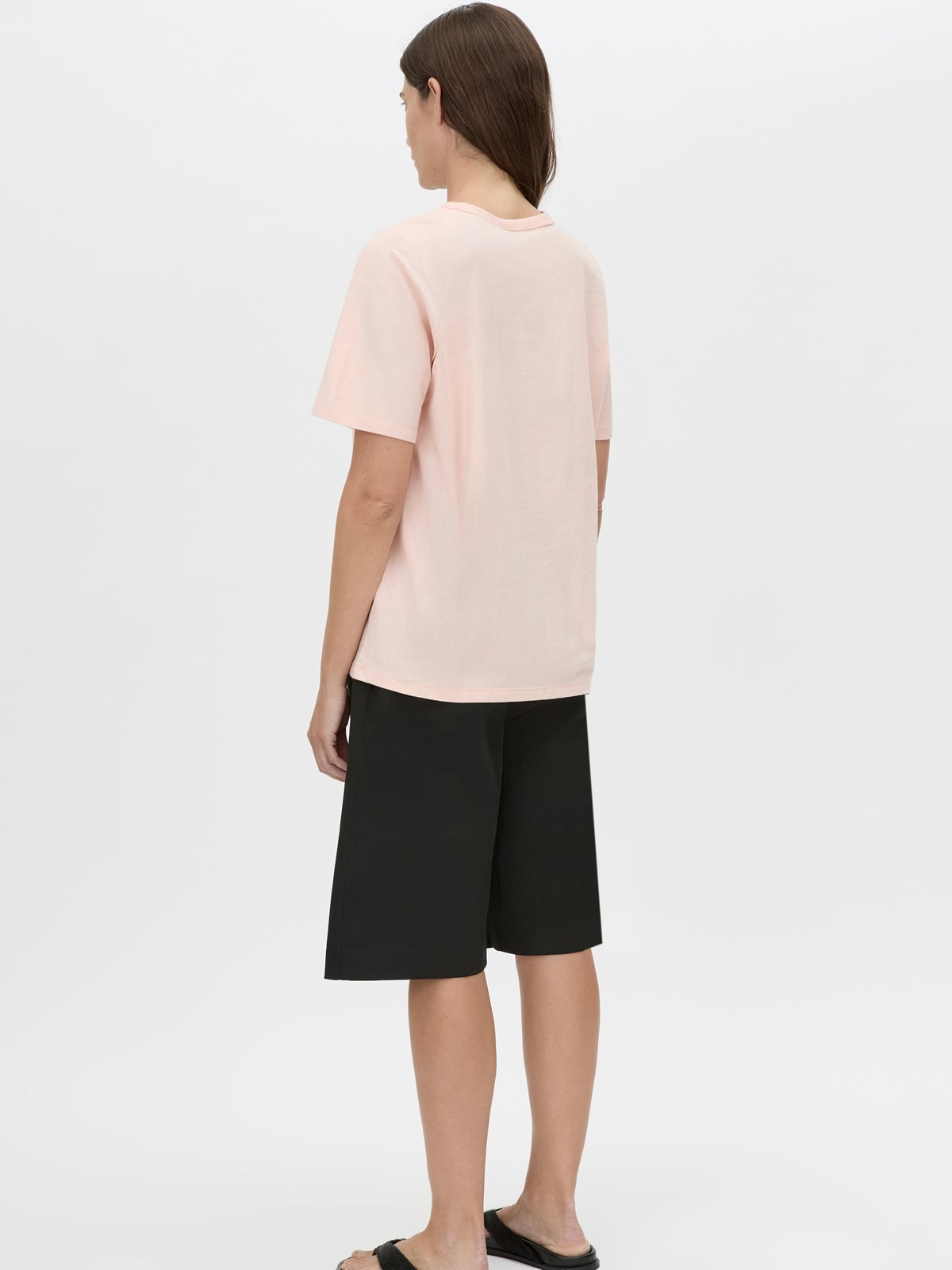 Ghiberti Logo Tee - Sherbet