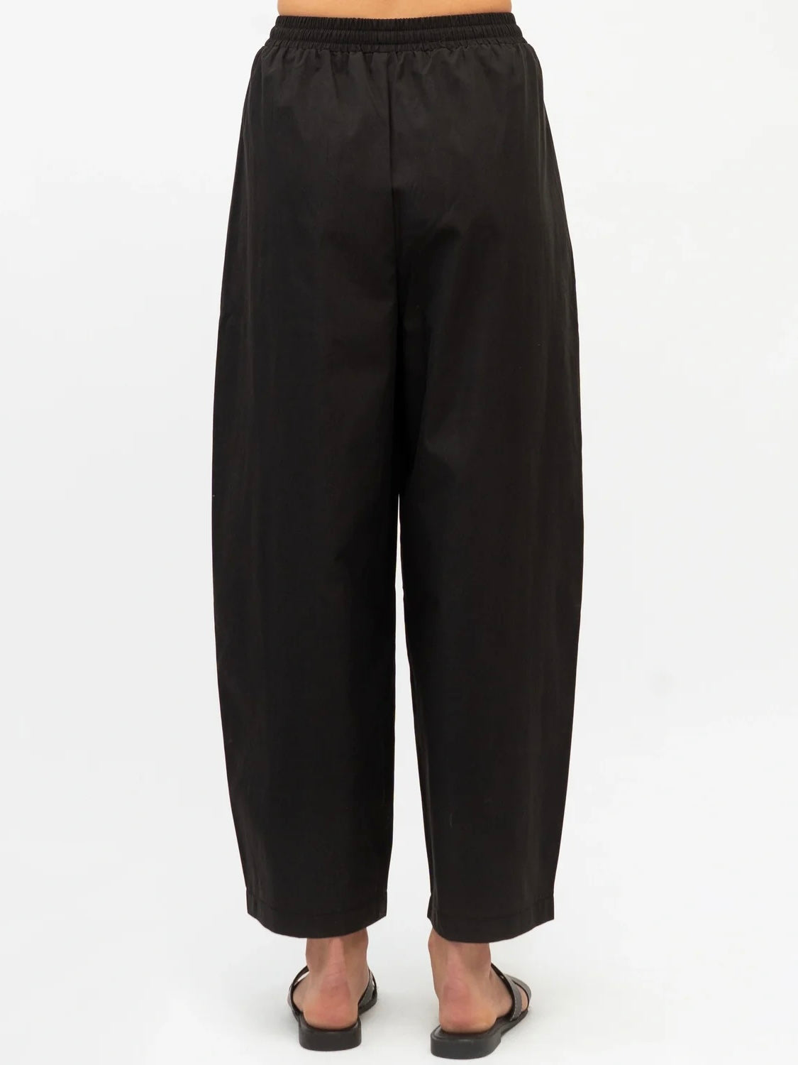 Darcey Pant