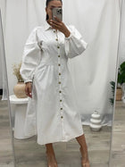 Odon Denim Dress