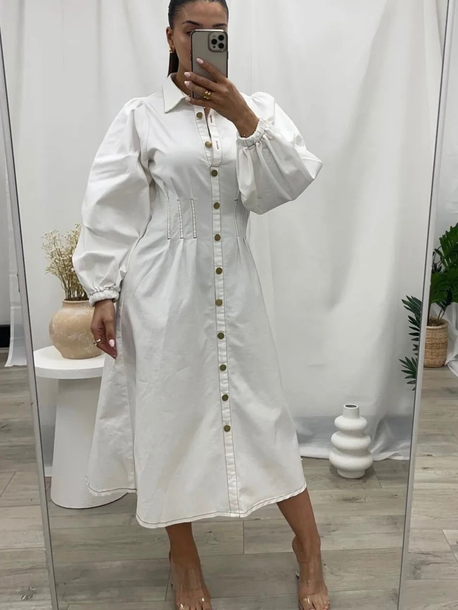Odon Denim Dress