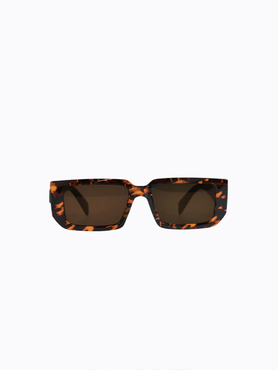 Evans Tortoise Shell