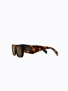 Evans Tortoise Shell
