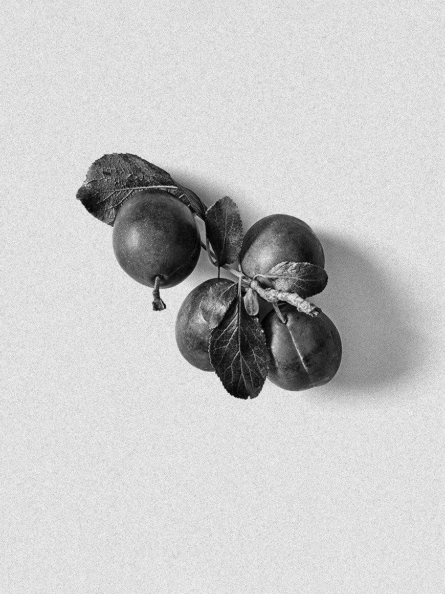 Black Plum Candle