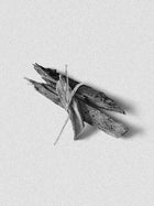 Palo Santo Spray